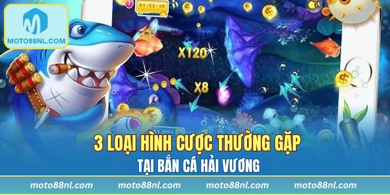 3 loại hình cược thường gặp tại Bắn Cá Hải Vương