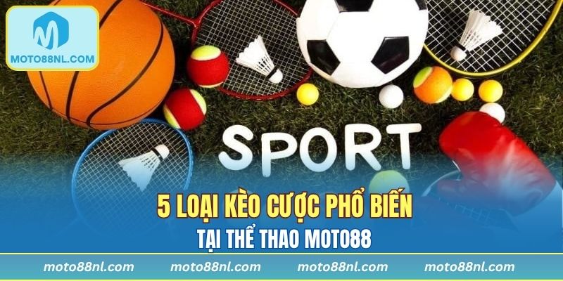 5 loại kèo cược phổ biến tại thể thao Moto88
