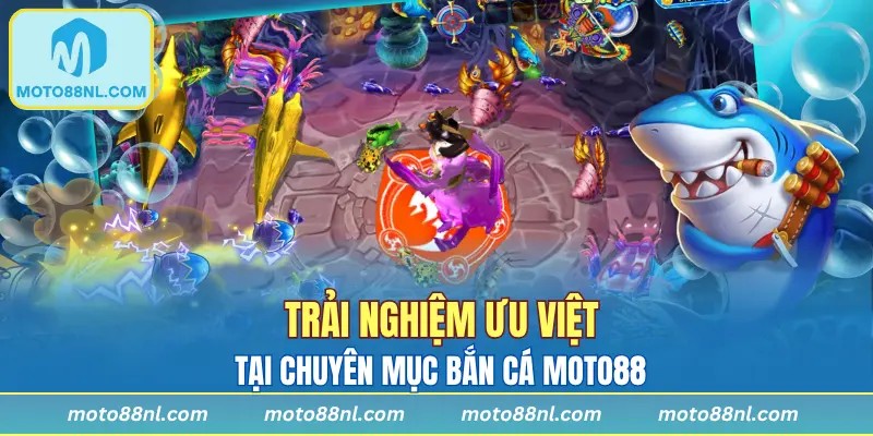 Các bước thao tác trải nghiệm săn cá