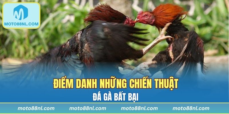 Bí quyết nắm thông tin kê thủ khi tham gia