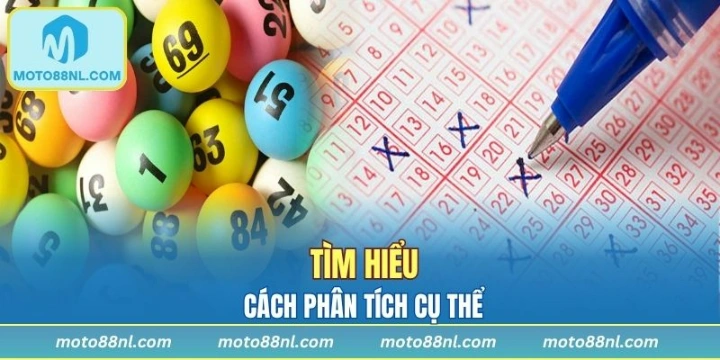 Tìm hiểu các loại đa dạng