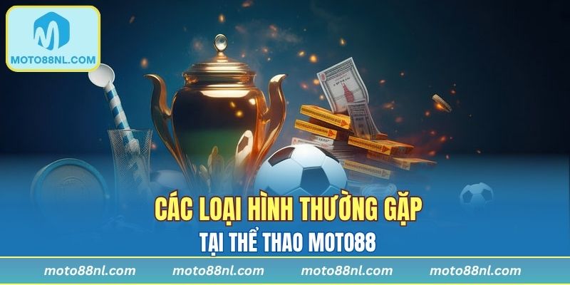 Các loại hình thường gặp tại thể thao Moto88