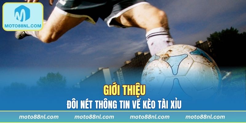 Đôi nét thông tin về kèo