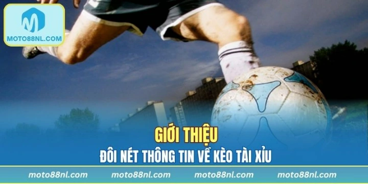 Đôi nét thông tin về kèo