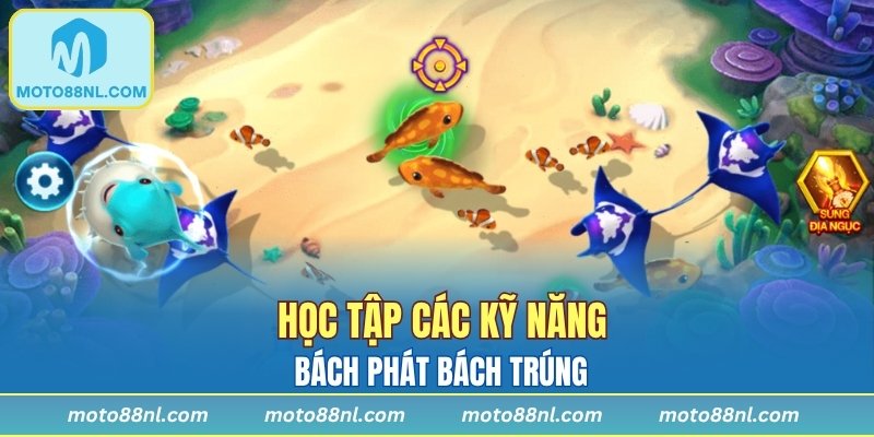 Học tập các kỹ năng bách phát bách trúng