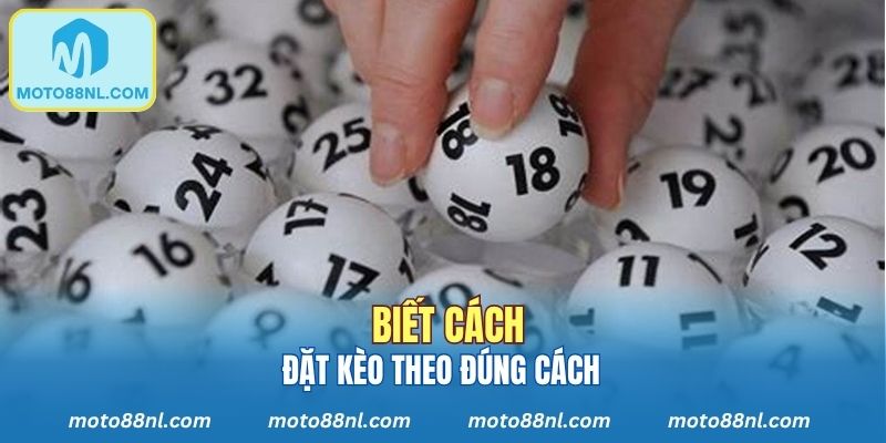 Nắm rõ cách thức đặt kèo
