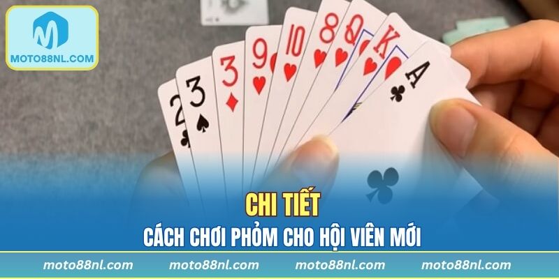 Cách chơi tá lả chi tiết cho hội viên