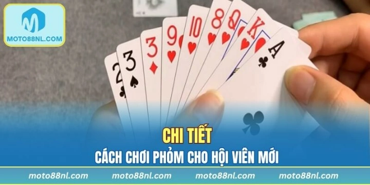 Cách chơi tá lả chi tiết cho hội viên