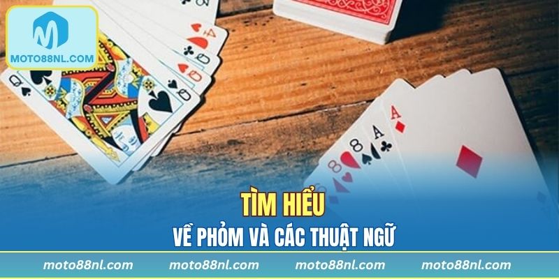 Những thông tin cơ bản về phỏm mà bạn cần biết