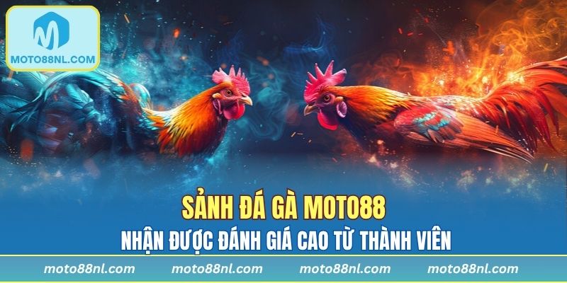 Sảnh đá gà MOTO88 nhận được đánh giá cao từ thành viên