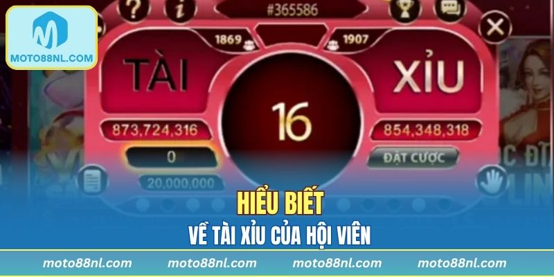 Hội viên hiểu biết về tài xỉu như thế nào