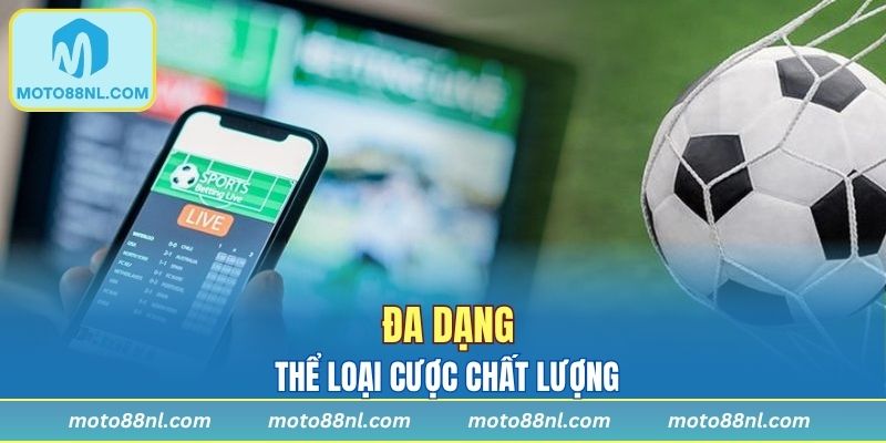 Tham gia thể loại 1.5 chất lượng