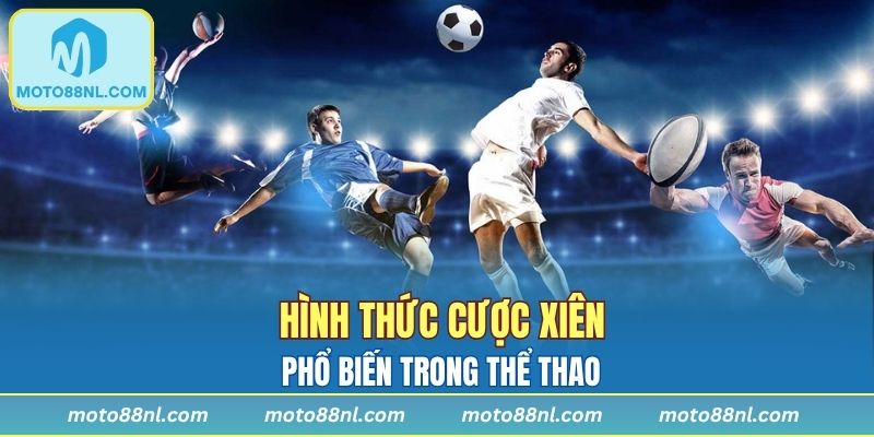 Tìm hiểu về hình thức kèo xiên thú vị trong thể thao