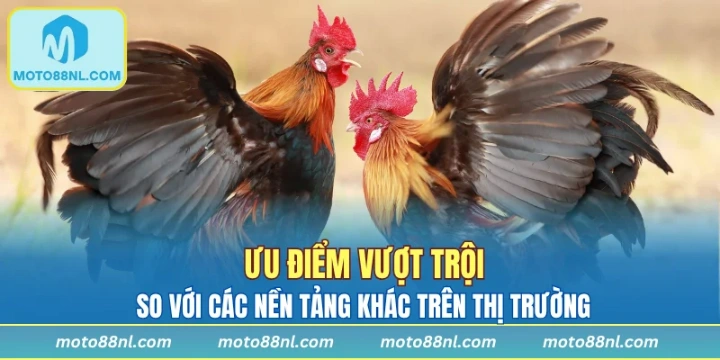 Ưu điểm vượt trội so với các nền tảng khác trên thị trường