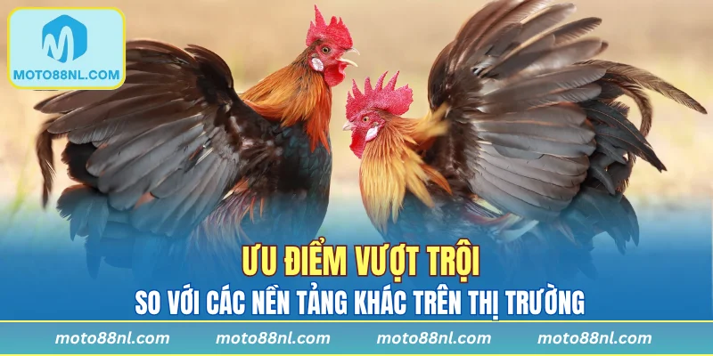 Ưu điểm vượt trội so với các nền tảng khác trên thị trường