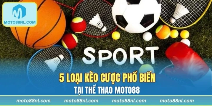 5 loại kèo cược phổ biến tại thể thao Moto88