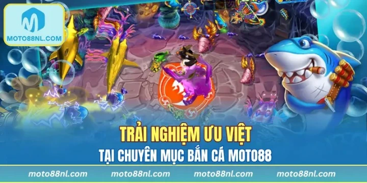 Các bước thao tác trải nghiệm săn cá